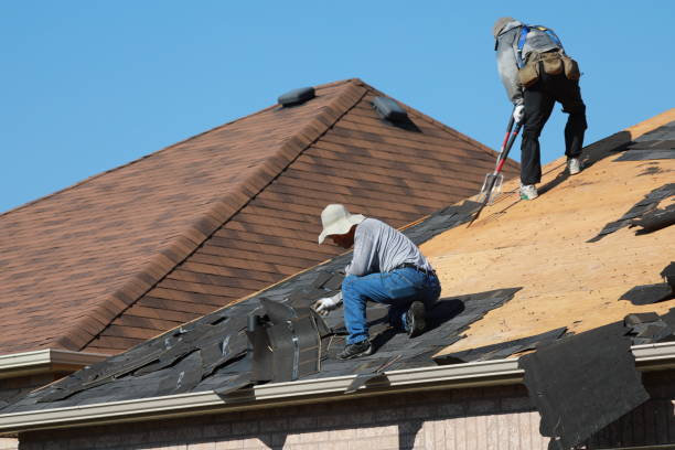 Best Skylight Installation and Repair  in Ingram, PA